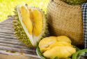 Sầu riêng loại nào ngon nhất? Các loại sầu riêng ngon, được ưa chuộng
