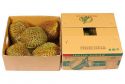 Bật mí cách bảo quản sầu riêng khi đi xa không bị hư