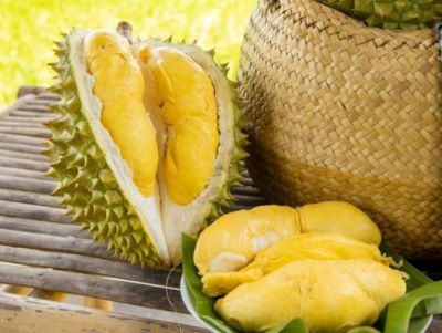 Sầu riêng loại nào ngon nhất? Các loại sầu riêng ngon, được ưa chuộng
