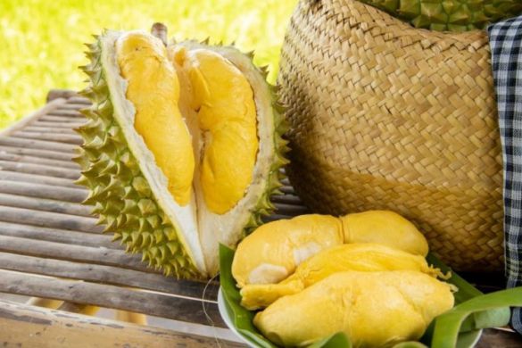 Sầu riêng loại nào ngon nhất? Các loại sầu riêng ngon, được ưa chuộng