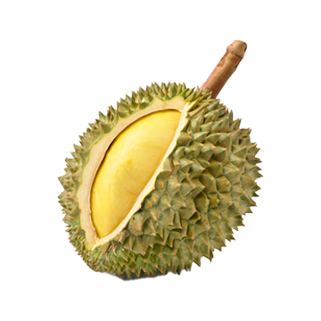 Sầu riêng chuồng bò