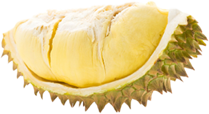 Sầu riêng Musang King